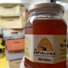 Miel de Bosque  nativo Apialdea (1000 gr) Carolina I.