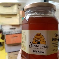 Miel de Bosque  nativo Apialdea (500 gr) Carolina I.