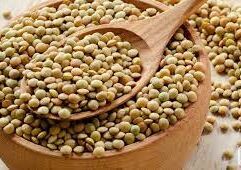 Lentejas (1 kg) Monica hormazabal