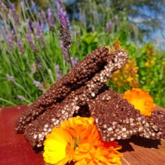 Barras Crocante quínoa en caja de 380 gr (12 u) Maya C.