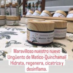 Ungüento medicinal de Matico-Quinchimalí (30 gr) Mónica L.