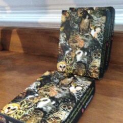 Memorice ilustrado, aves rapaces 17 pares (34 cartas)