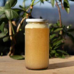 Caldo de Huesos - 1 litro - Anahi