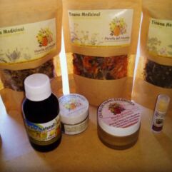 Tisana Salud femenina Uterina (45 gr) Mónica L.