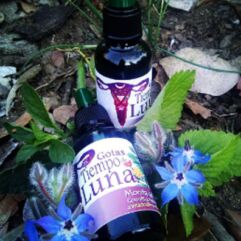 Preparado Tiempo de Luna (30 ml) Mónica L.