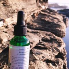 Tinturas Madre (30 ml) Mónica L.